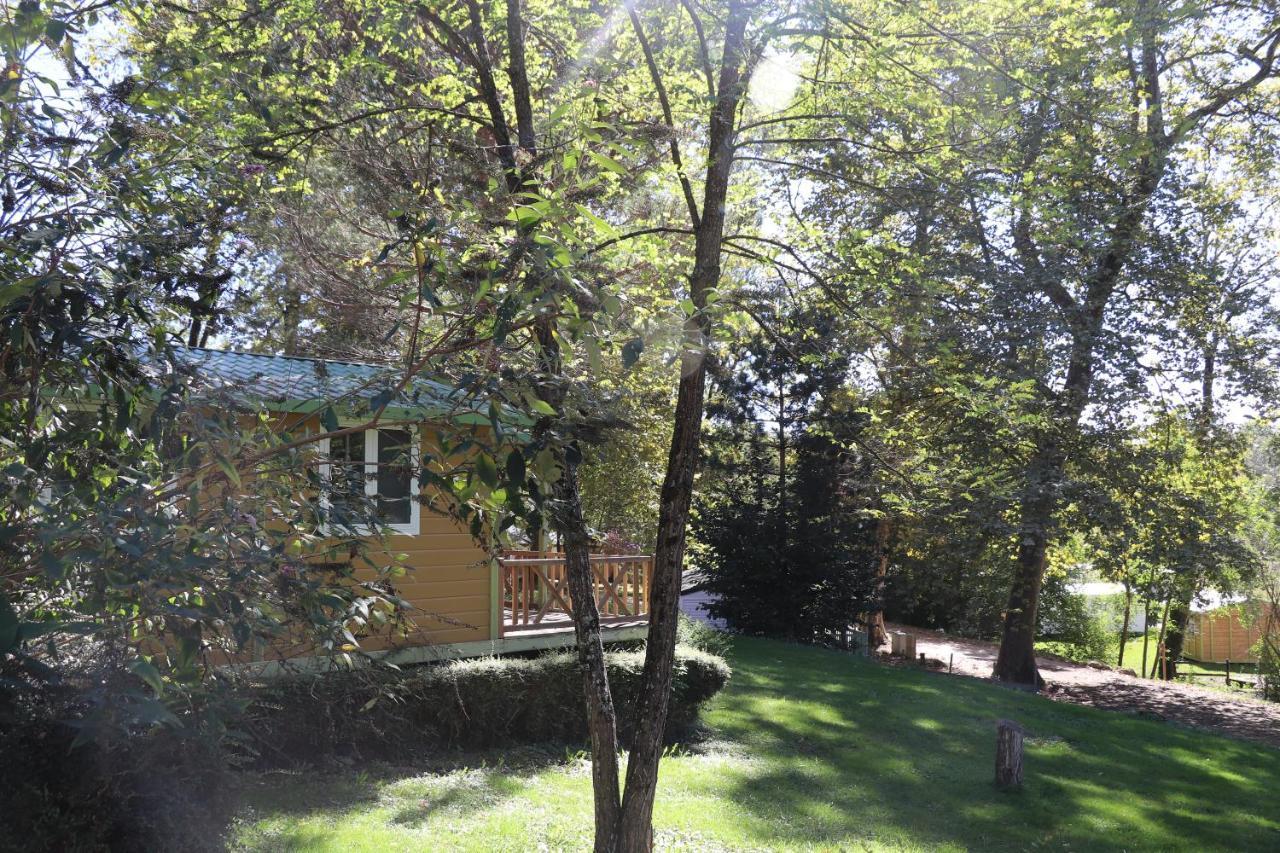 Camping 3 Etoiles - Piscine Chauffee - Vue Montagne 圣吉隆 外观 照片