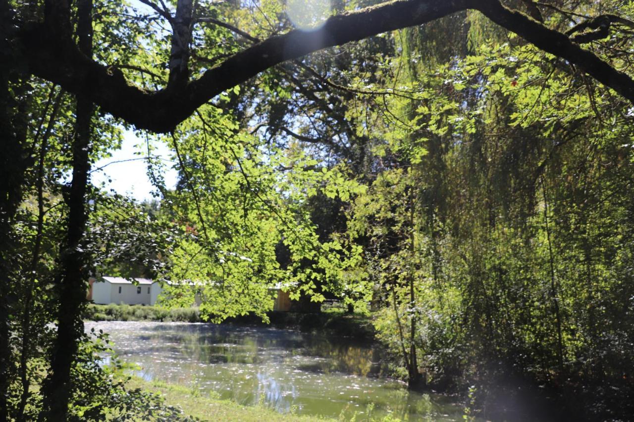 Camping 3 Etoiles - Piscine Chauffee - Vue Montagne 圣吉隆 外观 照片